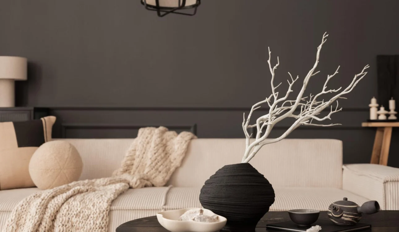 branch pic 1 | The Home X