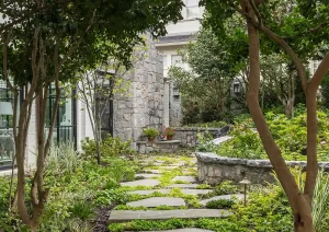 Lush garden path with natural stone steps surrounded by mature trees and greenery in New Hope, PA.